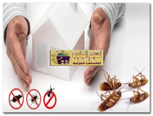 شركات مكافحة حشرات بخميس مشيط 