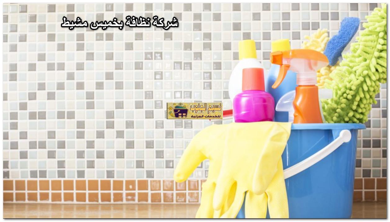 شركة نظافة بخميس مشيط