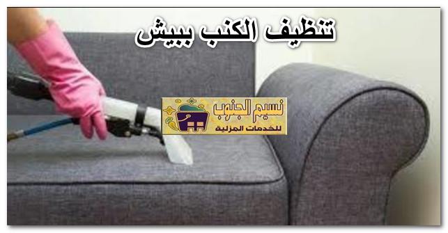 تنظيف الكنب ببيش