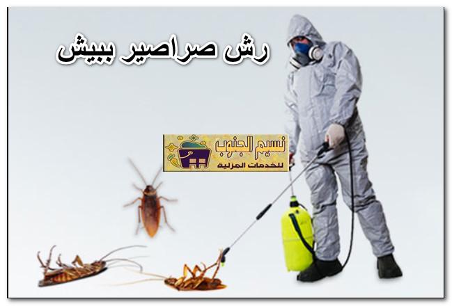 رش صراصير ببيش