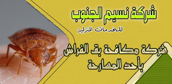 شركة مكافحة بق الفراش باحد المسارحه