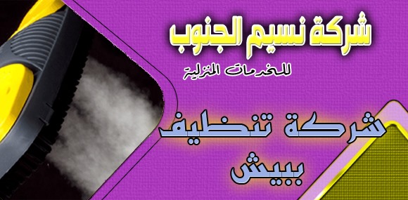 شركة تنظيف ببيش