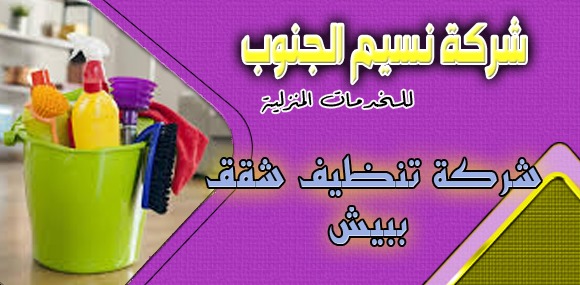 شركة تنظيف شقق ببيش