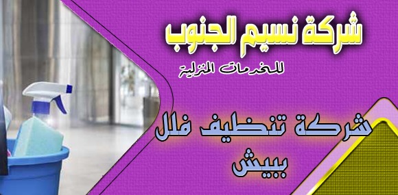 شركة تنظيف فلل ببيش