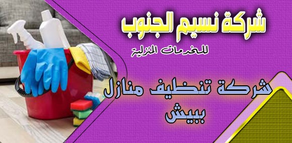شركة تنظيف منازل ببيش