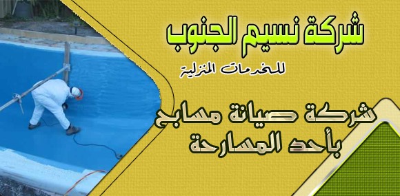شركة صيانة مسابح باحد المسارحه
