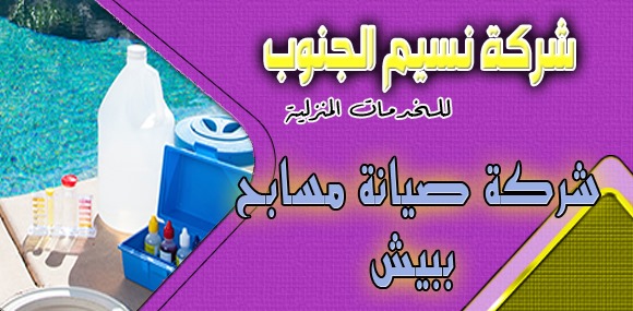 شركة صيانة مسابح ببيش