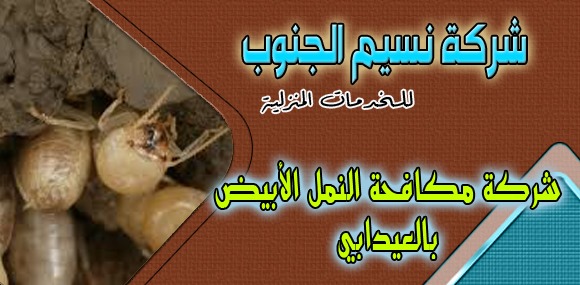 شركة مكافحة النمل الابيض العيدابي
