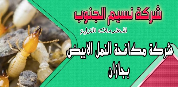 شركة مكافحة النمل الابيض بجازان