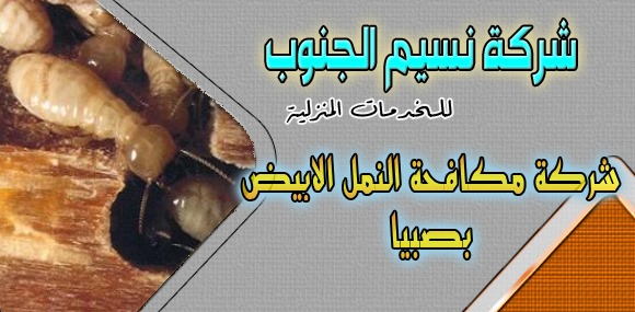 شركة مكافحة النمل الابيض بصبيا