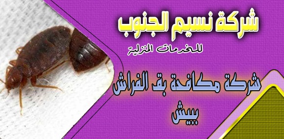 شركة مكافحة بق الفراش ببيش
