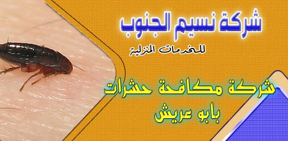 شركة مكافحة حشرات بابو عريش