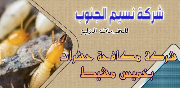 شركة مكافحة حشرات بخميس مشيط