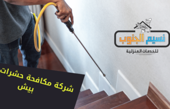 شركة مكافحة حشرات ببيش