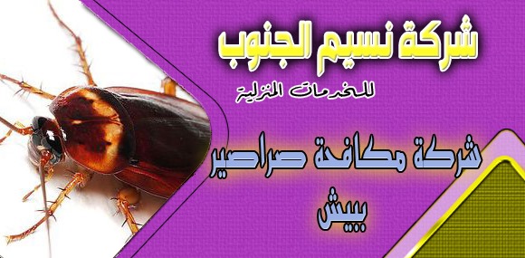 شركة مكافحة صراصير ببيش