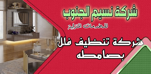 شركة تنظيف فلل بصامطه