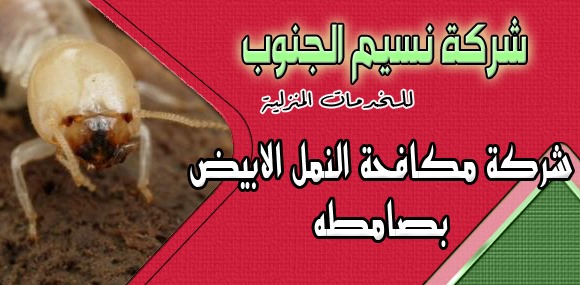 شركة مكافحة النمل الابيض بصامطه