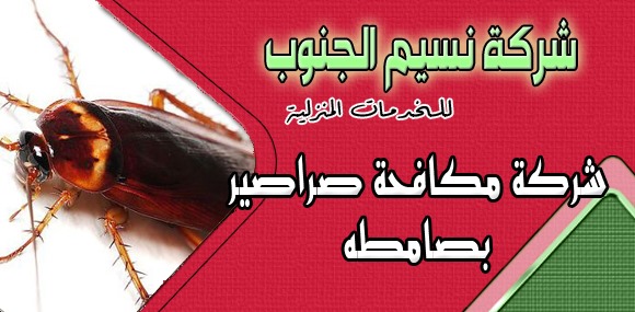 شركة مكافحة صراصير بصامطه