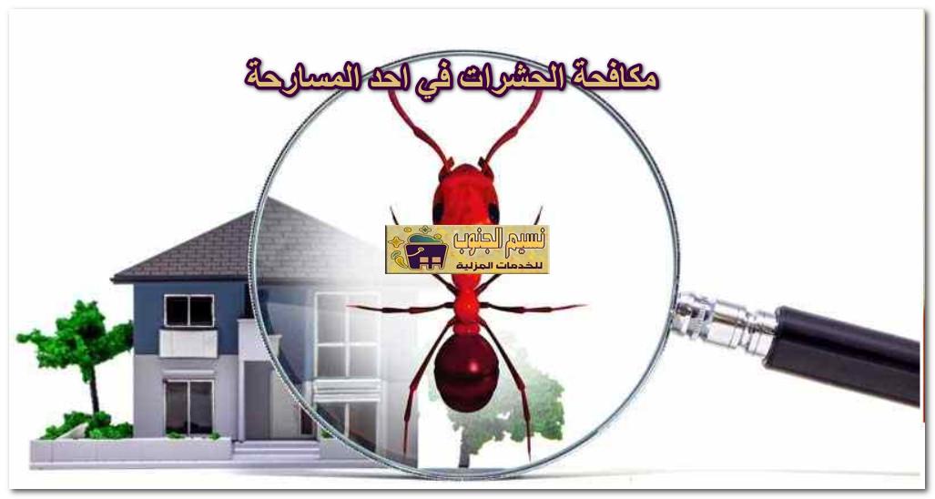 مكافحة الحشرات في احد المسارحة