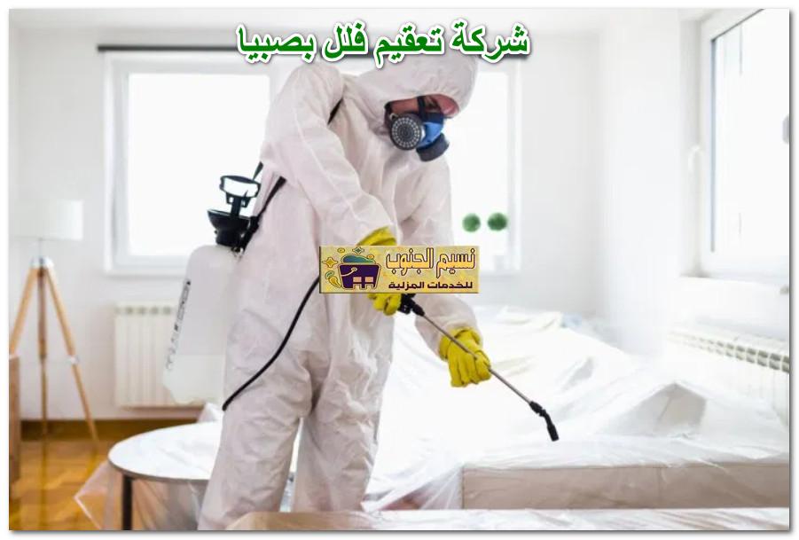 شركة تعقيم فلل بصبيا