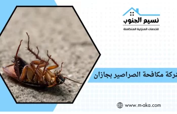 شركة مكافحة الصراصير بجازان