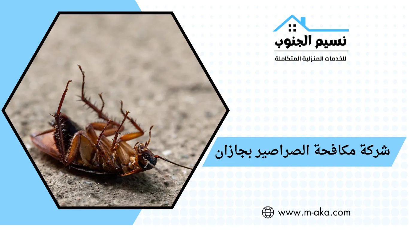 شركة مكافحة الصراصير بجازان