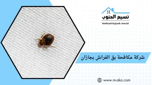 شركة مكافحة بق الفراش بجازان