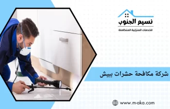 شركة مكافحة حشرات ببيش