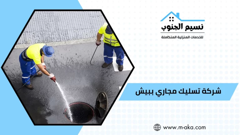 شركة تسليك مجاري ببيش