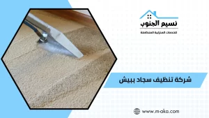 شركة تنظيف سجاد ببيش