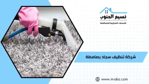 شركة تنظيف سجاد بصامطة