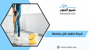 شركة تنظيف فلل بصامطه
