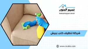 شركة تنظيف كنب ببيش