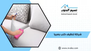 شركة تنظيف كنب بصبيا