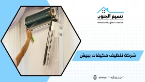 شركة تنظيف مكيفات ببيش