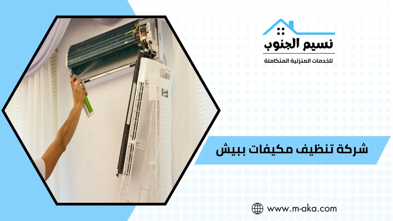 شركة تنظيف مكيفات ببيش