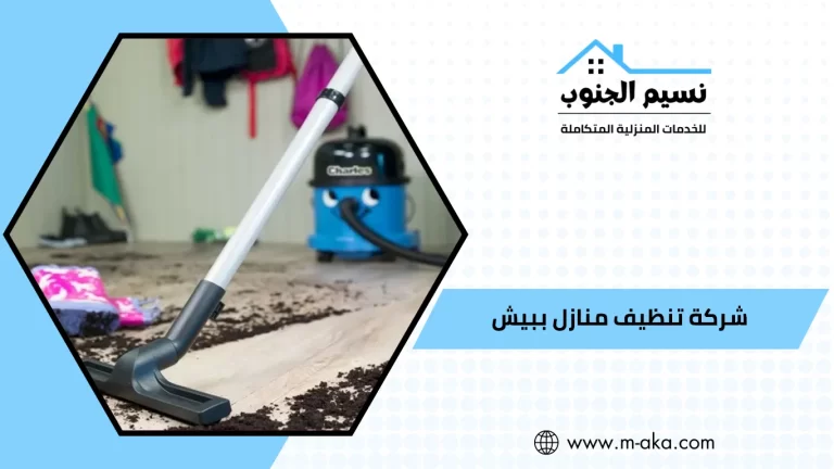 شركة تنظيف منازل ببيش
