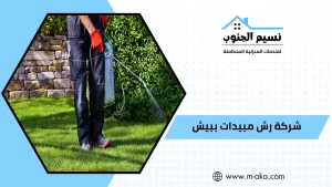 شركة رش مبيدات ببيش