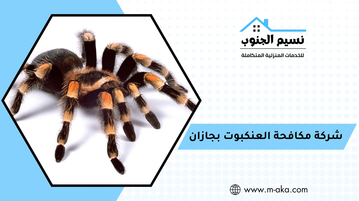 شركة مكافحة العنكبوت بجازان