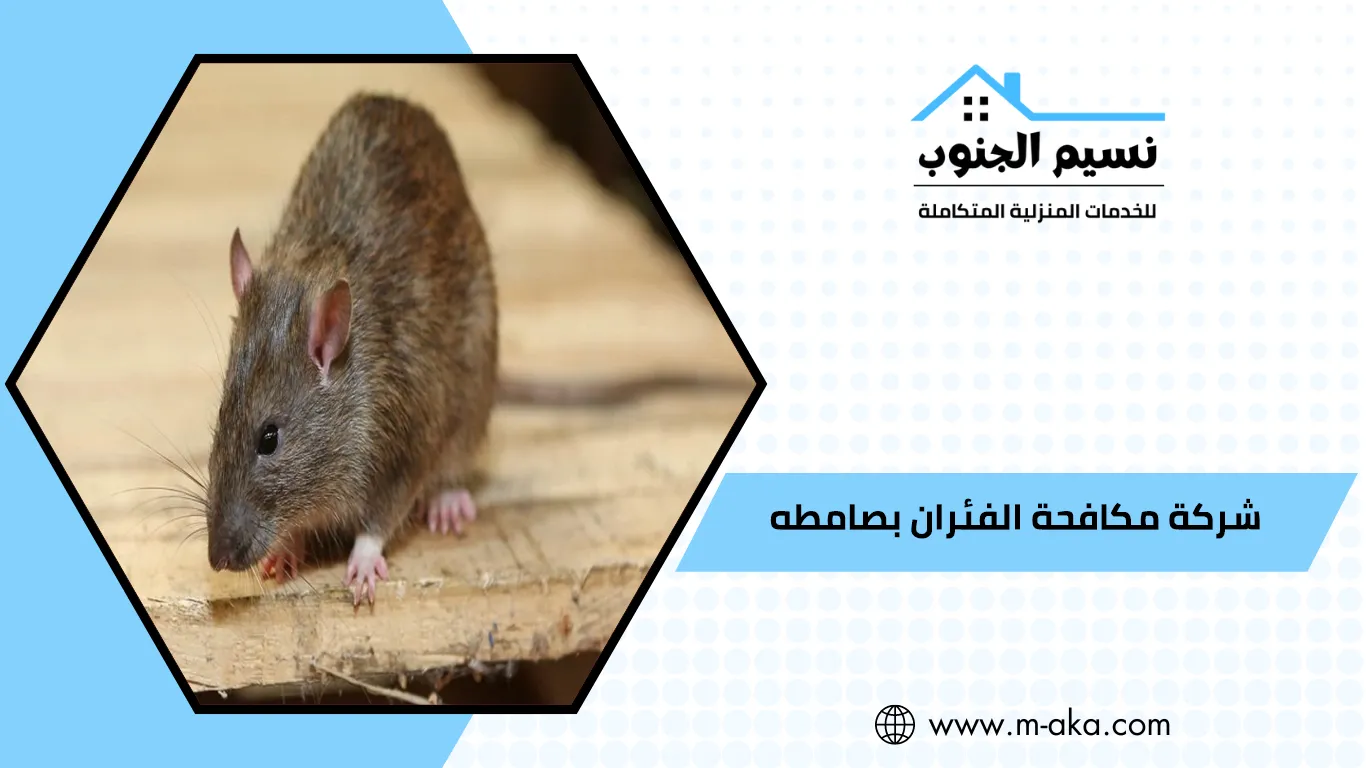 شركة مكافحة الفئران بصامطه