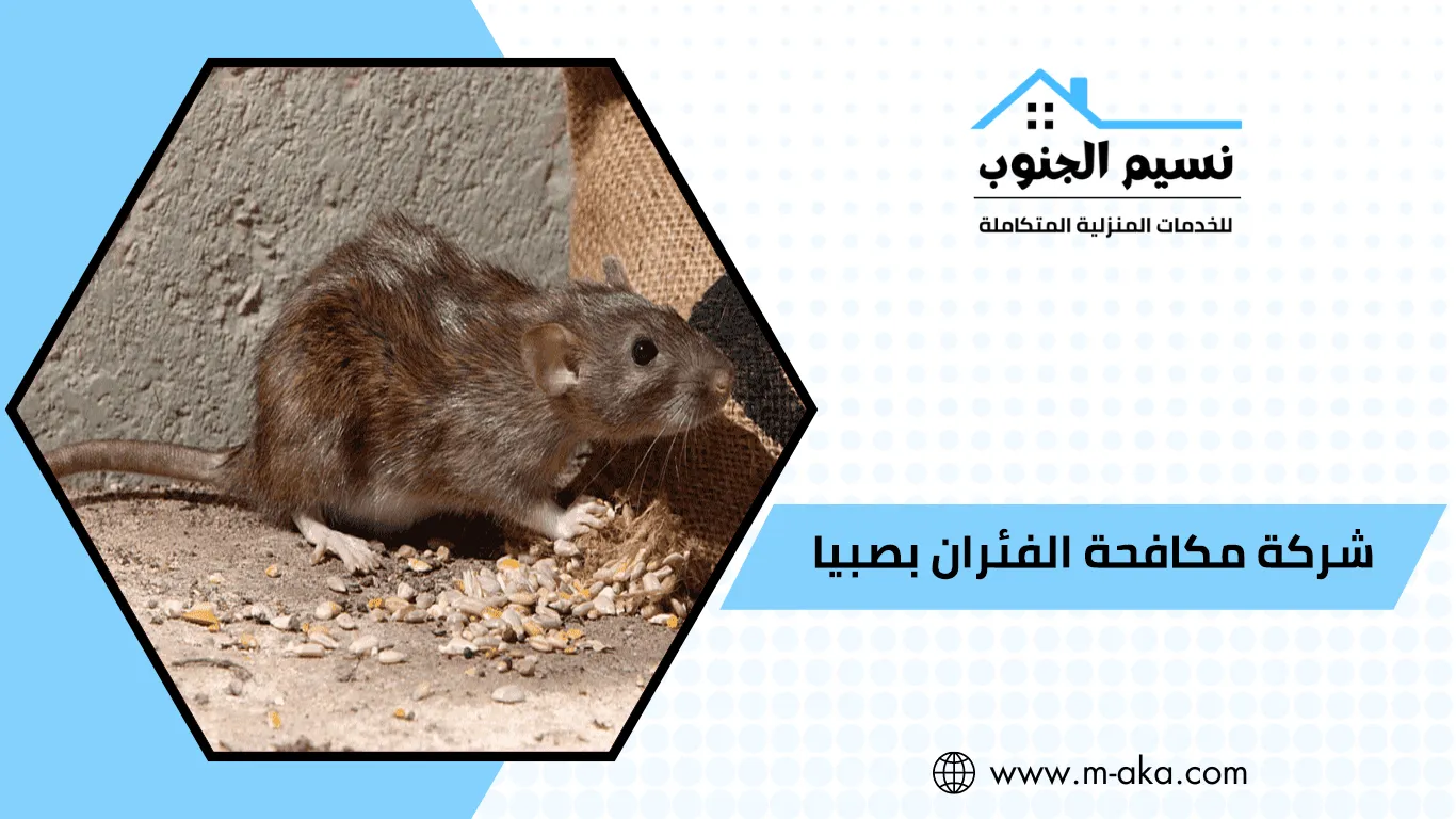 شركة مكافحة الفئران بصبيا
