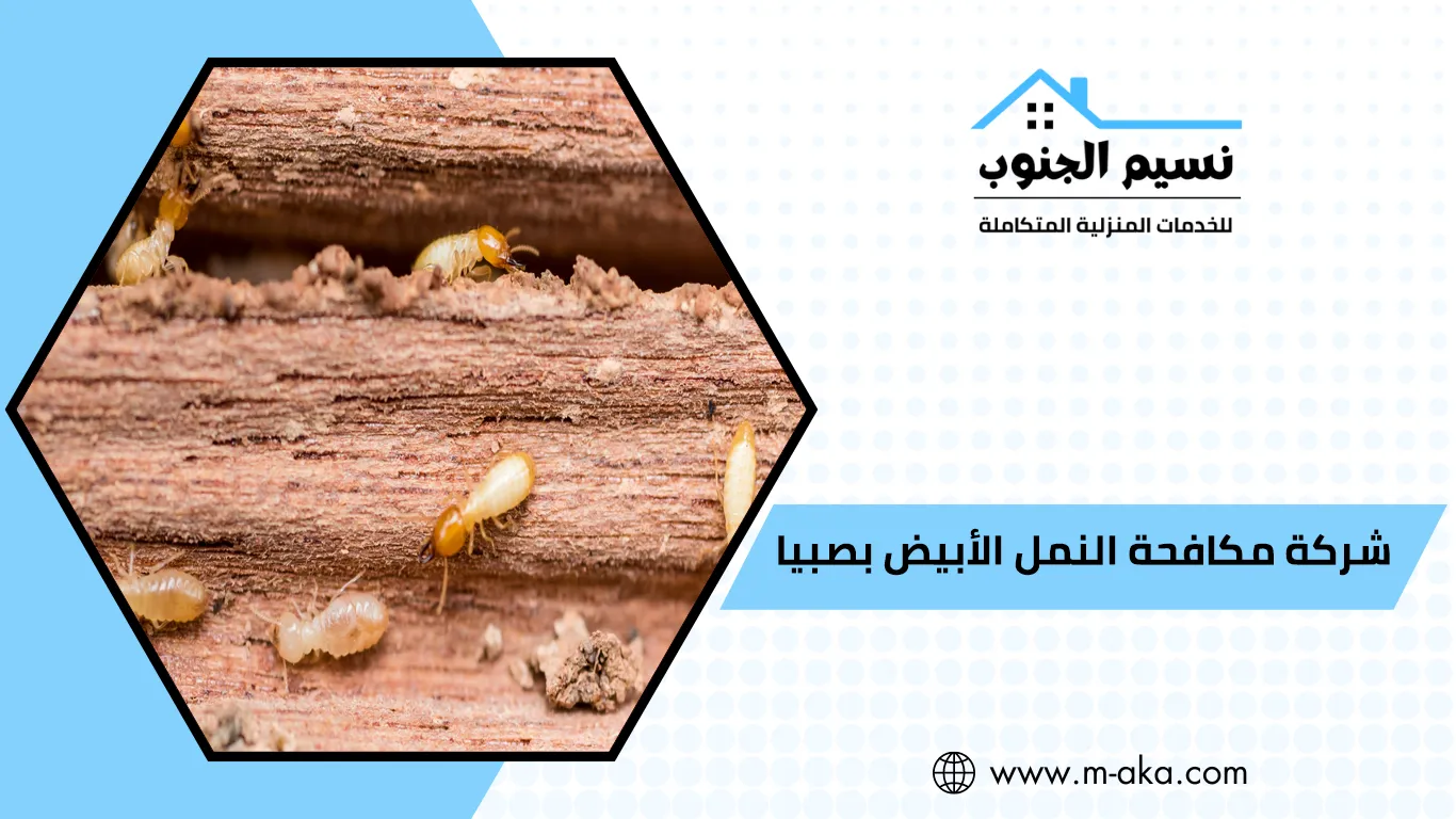 شركة مكافحة النمل الأبيض بصبيا