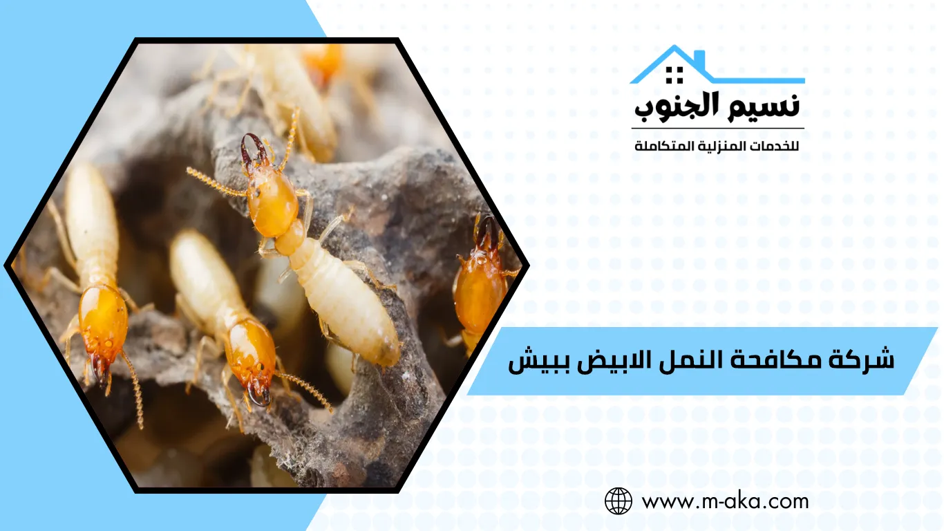 شركة مكافحة النمل الابيض ببيش