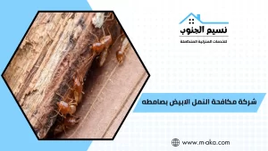 شركة مكافحة النمل الابيض بصامطه