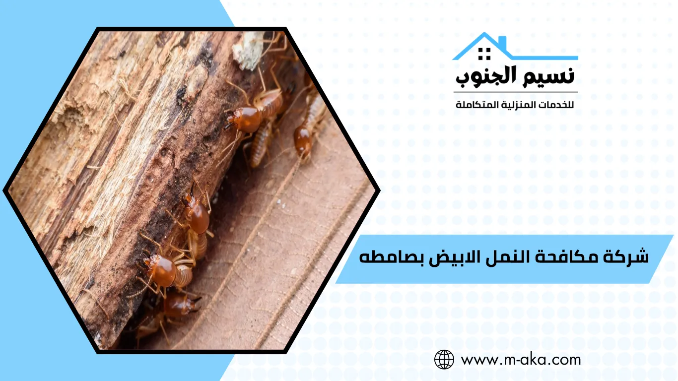 شركة مكافحة النمل الابيض بصامطه