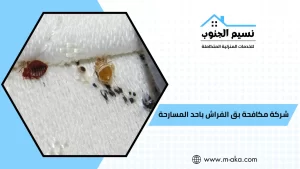 شركة مكافحة بق الفراش باحد المسارحة