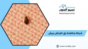 شركة مكافحة بق الفراش ببيش