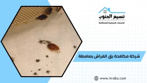 شركة مكافحة بق الفراش بصامطه