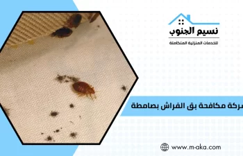 شركة مكافحة بق الفراش بصامطه