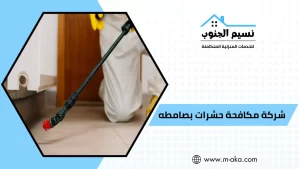 شركة مكافحة حشرات بصامطه
